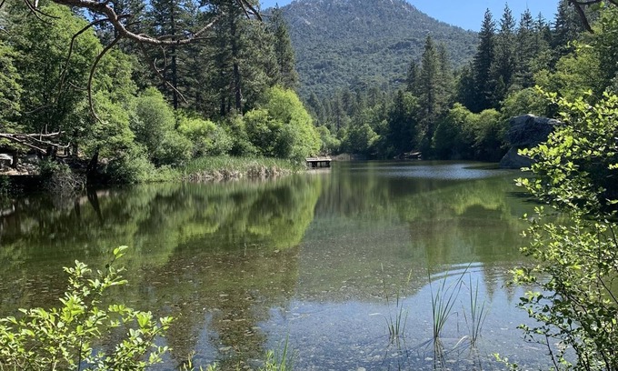 Idyllwild House | Idyllwild-Coachella Glamping with benefits Going to Coachella.