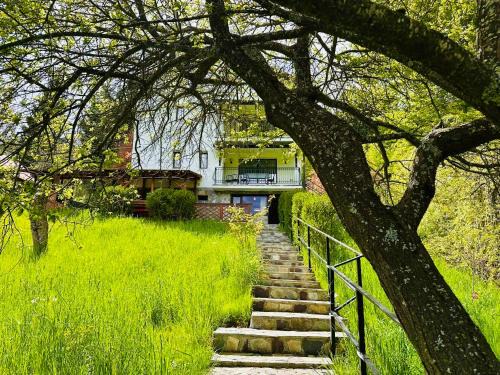 Sinaia Villa | Iepurasul Sinaia