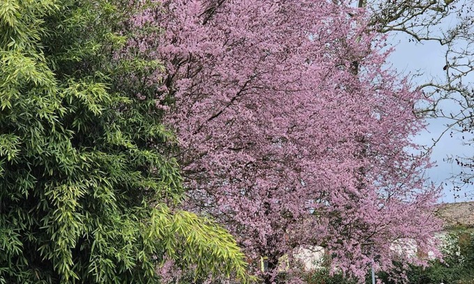 Parasacco House | Il Bivio