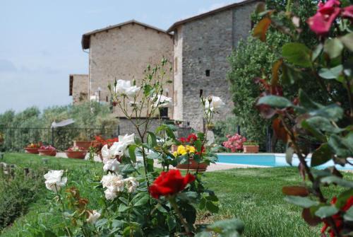 Perchia Apartment | Il Castello Di Perchia