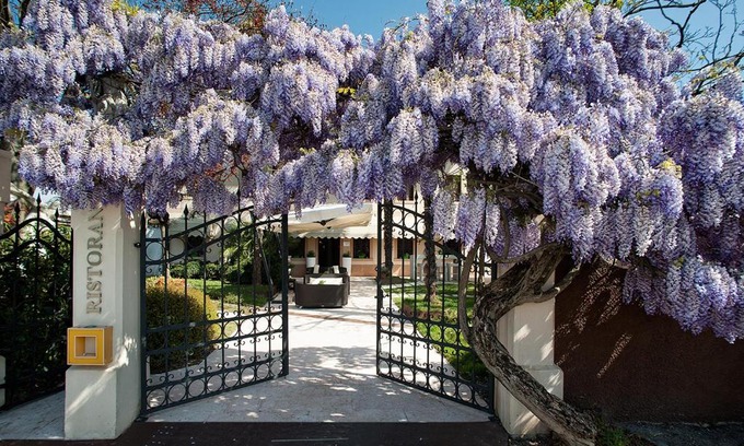 Cecchini Hotel | Il Cecchini