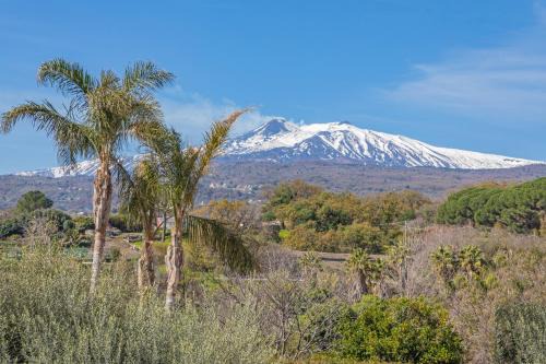 Piedimonte Etneo Apartment | Il Comandante