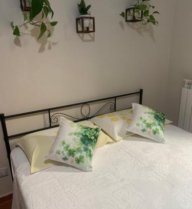 Twist House | Il Quadrifoglio Nascosto
