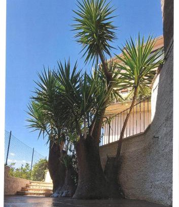 Montelibretti Bed & Breakfast | Il Tronchetto