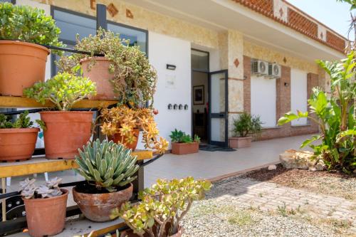 Santa Teresa di Riva Bed & Breakfast | IL VIVAIO Bed and Breakfast