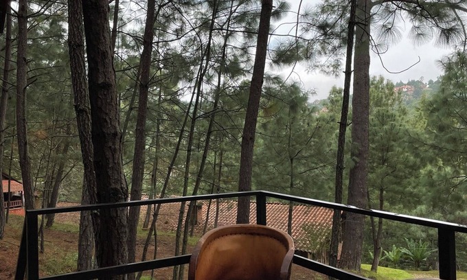 Mazamitla Cabin | Immersed in the Mazamitla Forest.