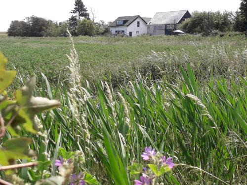 Burgh-Haamstede Apartment | in de Boomgaard