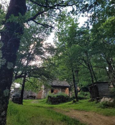 Arnac-sur-Dourdou Other | Insolite bergerie dans la forêt