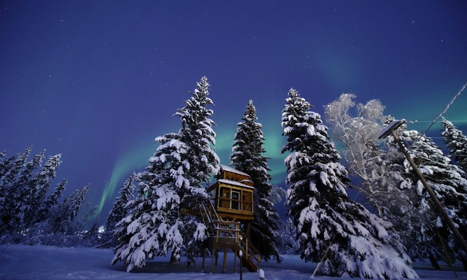 College House | It is a tiny home in the treehouse located in the middle of Fairbanks.