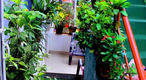 Udawalawa Bed & Breakfast | Italiano Safari House