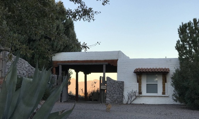 Mesilla Park House | JACKRABBITS & ROADRUNNERS-CACTI & QUAIL-pets ok