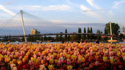 Strasbourg Apartment | Jardin des Deux Rives