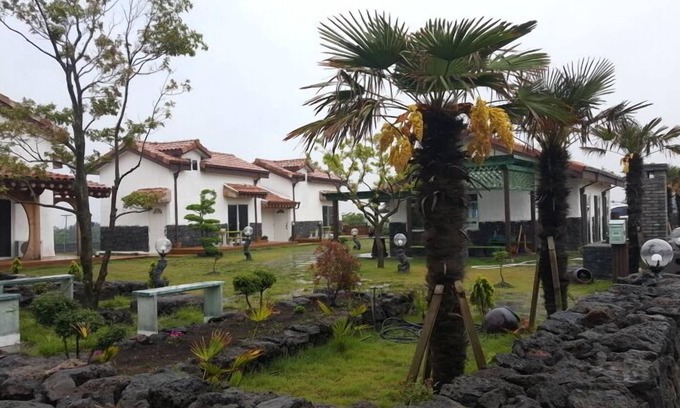 Pyeongdae-ri Condo | Jeju Bijarim Midam Pension