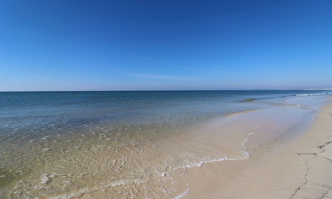 Port St. Joe House | JEWELL COTTAGE IS ADORABLE & AFFORDABLE! CLOSE TO ST JOE BAY!