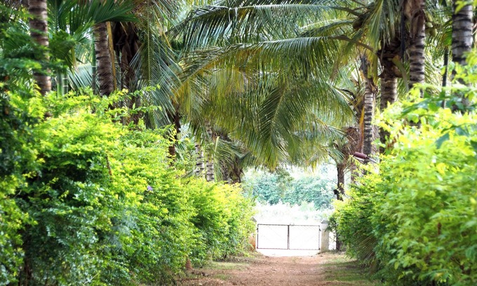 Tarikere Hotel | Joeshomestay