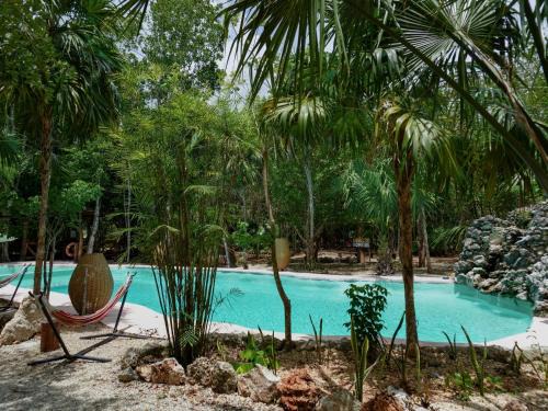 Leona Vicario Hotel | Jolie Jungle Eco Hotel