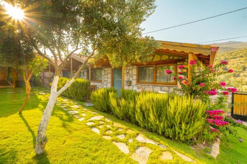 Kas Other | Kaş Joy Glamping