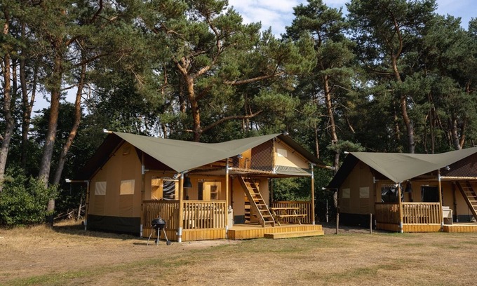 Wilsum Cabin | Kamperen Maar met de Luxe van Thuis? Verblijf in een Safaritent Voor 7 Personen bij Wilsumer Berge