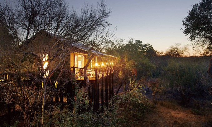 Thorny Bush Game Reserve Other | Kapama Buffalo Camp