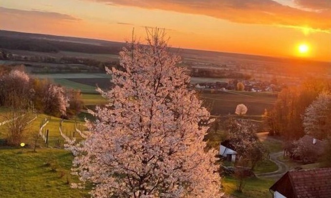 Strem Apartment | Kellerstöckl am Hamerlberg/Strem