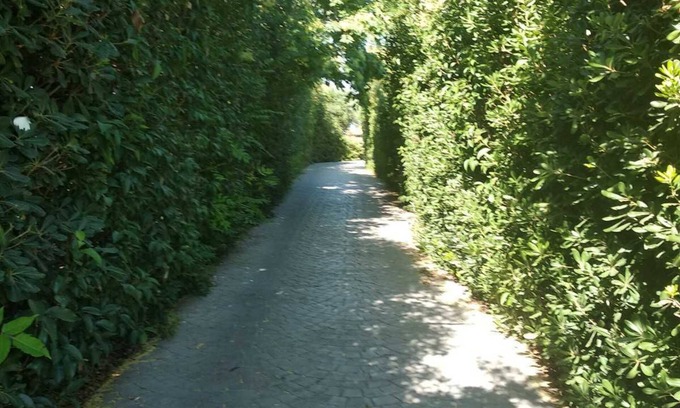 Tingaki House | KOSDREAM.GR