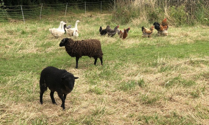 Hudimesnil Bed & Breakfast | L'escale Le Giré