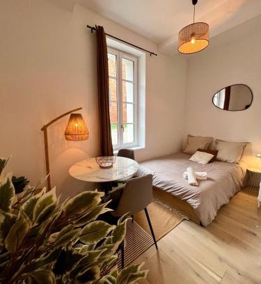 Toulouse City-Centre Apartment | L'intime Saint Pierre - Paisible - Centre ville