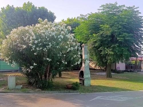 Senigallia Other | L'Oasi di Lulu'