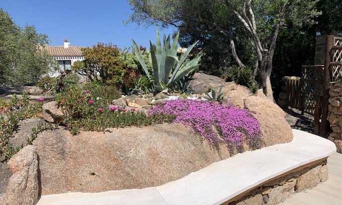 Liscia di Vacca Apartment | L'Olivastro Apartment