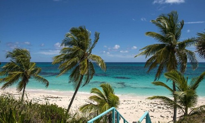 North Palmetto Point Hotel | La Bougainvillea Hotel and Villas