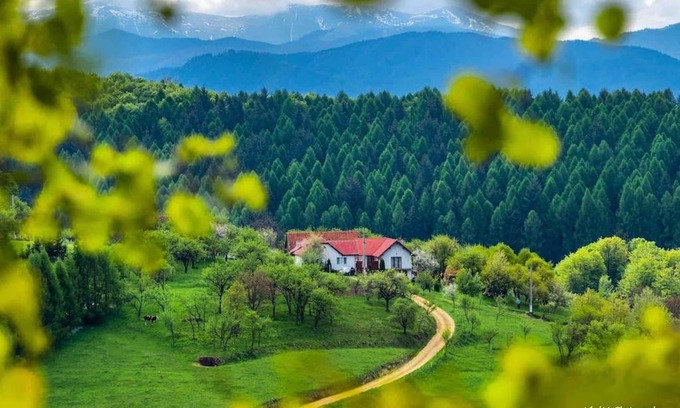 Poiana Marului House | La Căsuță