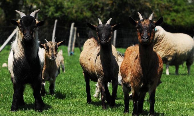 Bossay-sur-Claise House | La Carillonerie Calme & Sérénité - Calm & Serenity
