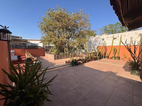 Ruta Independencia House | La Casa del Arbol