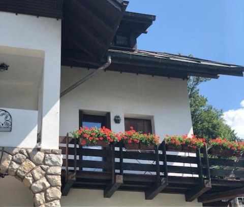 Pieve di Cadore Apartment | La casa di Monte Ricco