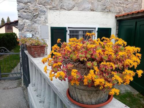 Cremeno Apartment | La Casetta di Barzio