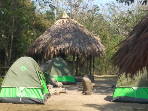 Santa Marta Other | La Cima Tayrona