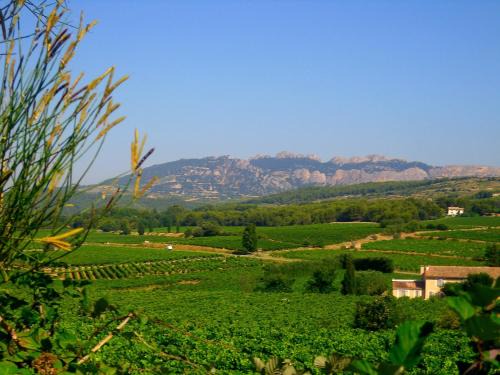 Saint-Hippolyte-le-Graveyron Bed & Breakfast | La Dentellière