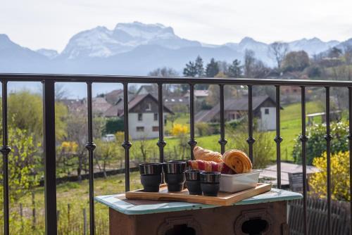 Saint-Jorioz House | La Grande Mélodie - Maison familiale avec jardin