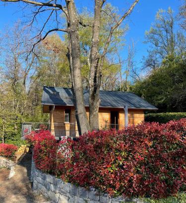 Astano House | "La Graziosa" Superior Chalet Rifugio Nel Bosco