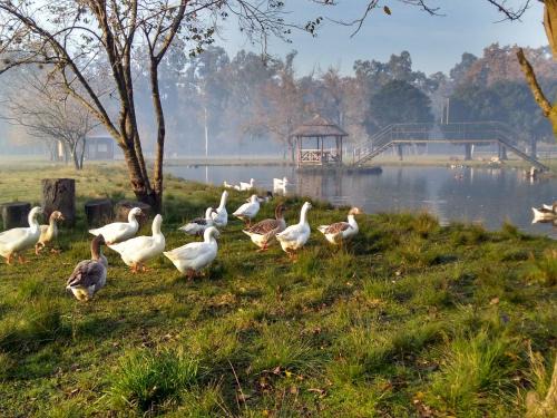 Presidente Derqui Apartment | La Justina - Nuestro Campo