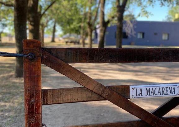 Navarro House | La Macarena