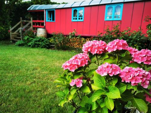 Achicourt Bed & Breakfast | La Maison des Oiseaux. Roulotte