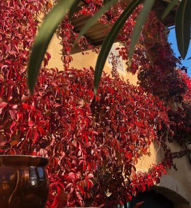 Salles-sous-Bois House | La Maison près de la Fontaine