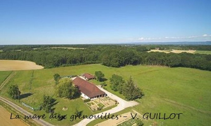 Bruailles Bed & Breakfast | La mare aux grenouilles
