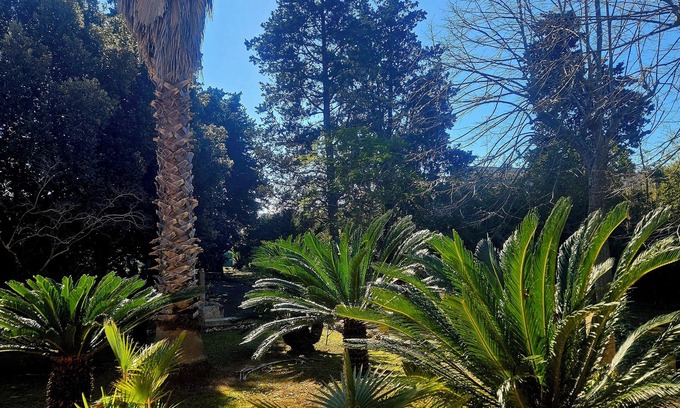 Lecce Villa | La Pineta