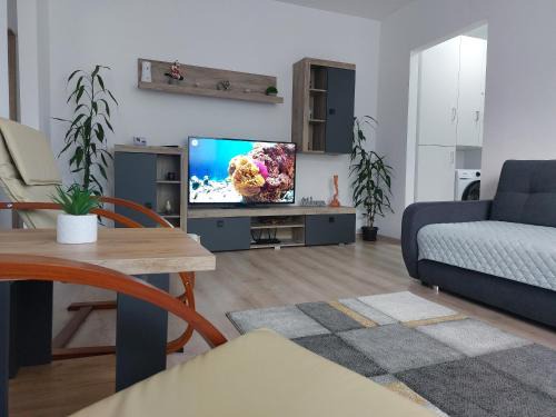 Lupeni Apartment | La Radu