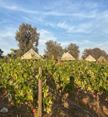 Valle de Guadalupe Other | Lago Valle Wine Glamping