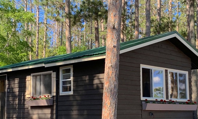 Longville Cottage | Lake front cottage - 2024 Specials Now! Beach and spectacular views!