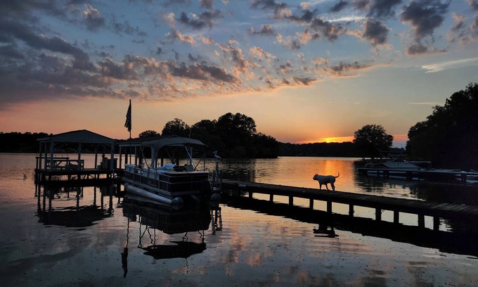 Waterloo Cottage | Lake Greenwood Guesthouse-Bring your boat and your pup!