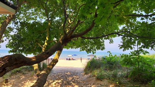 Lakeside House | Lake Perch